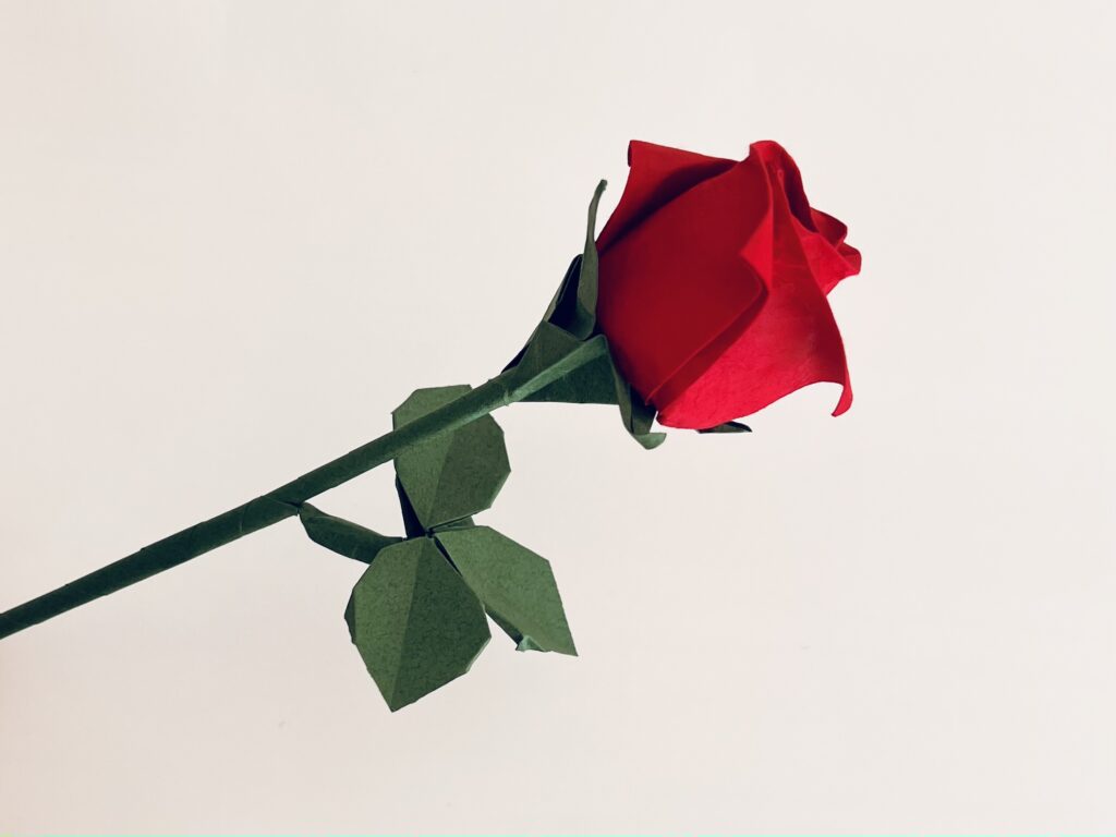 Ateliers et interventions créatives en papier pour événements culturels et privés par DesignPapierAVD