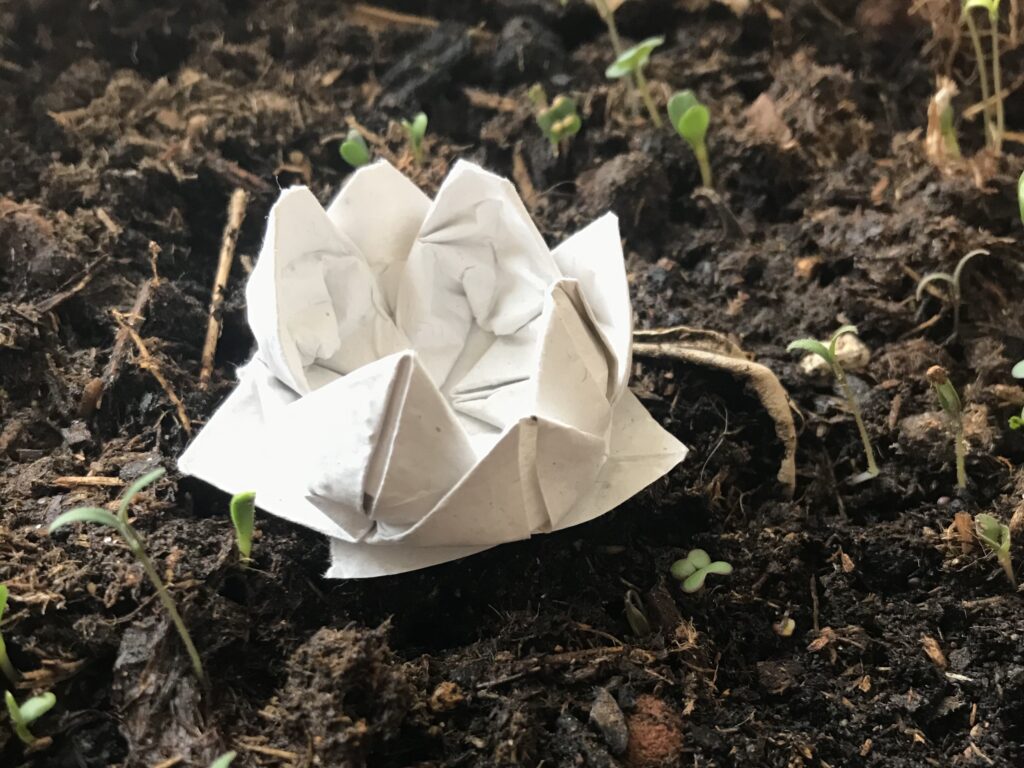 Animation team-building sur mesure pour le Groupe Merck, avec activités collaboratives et installations décoratives.