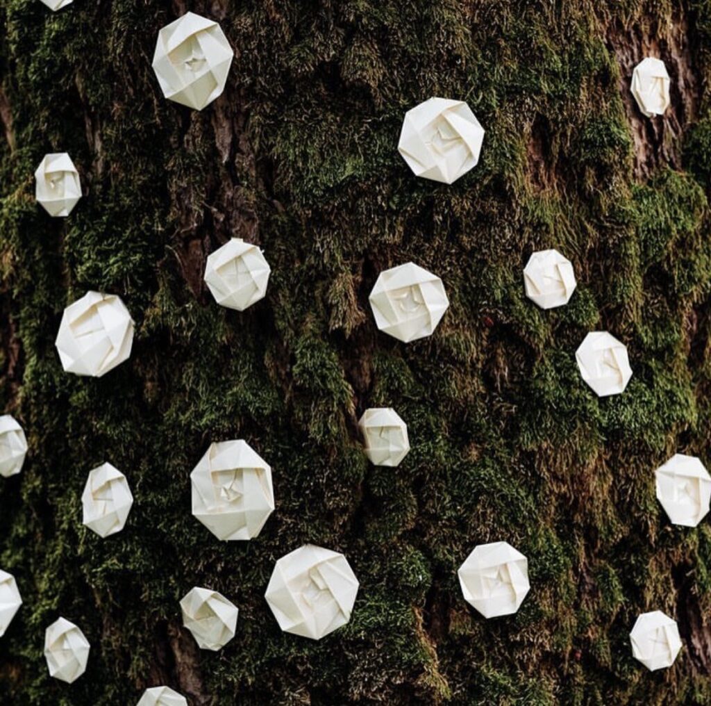 Fleurs blanches en papier fixées sur un tronc d’arbre pour décorer le jardin d’un mariage.